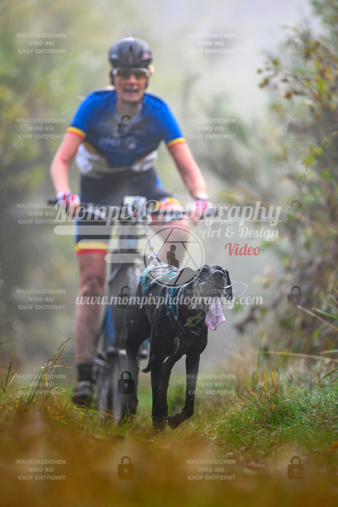 MompixPhotography_20TSB_E4_Bike-32 | PayLife