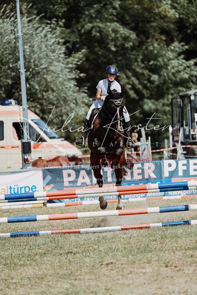 DSC_0044 | Pferde- und Turnierfotografie in Westsachsen. Pferdeportraits, Auftragszeichnungen und intuitive Kunst.