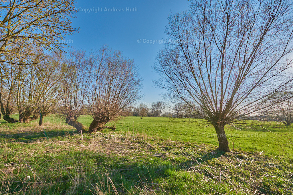 In der Elsteraue bei Reuden | Bedeutsame Landschaften Deutschlands - Realisiert mit Pictrs.com