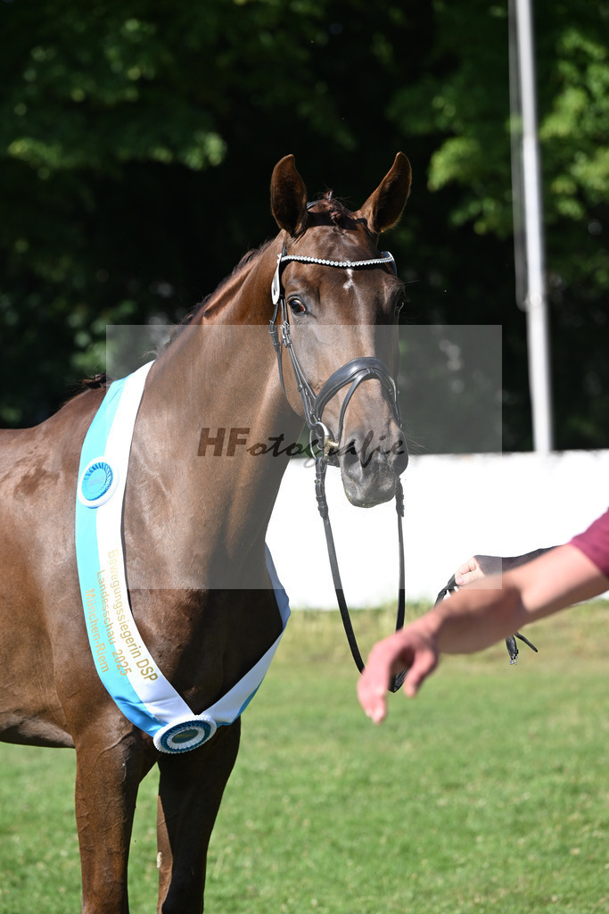 Kat-Nr. 57 Thalya W v. Va Bene_Winklmaier_19251483 | hf-fotografie - Realizzato con Pictrs.com
