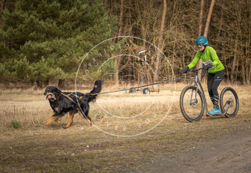 DV3A4850 | Hundefotografie, Tierfotograf, Pfotenfotografie, Fotoshooting Hund, Hunde Portrait, Hundesport, Hundeportraits, Heideshooting, Hunde, Sportfotograf, Hundefotograf, Turnierhundsport, THS,  - Realisiert mit Pictrs.com
