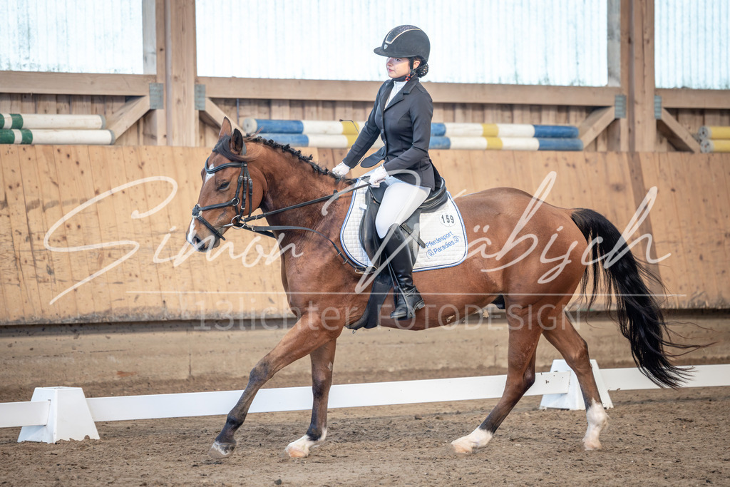 20251011-_3LI7984 | Tierfotografie Pferde, Hunde, Katzen, Haustiere.
Turnierfotografie Reitturniere, Reiten, Springreiten, Dressur in Hanau, dem Main-Kinzig-Kreis und dem Rhein-Main- Gebiet um Frankfurt