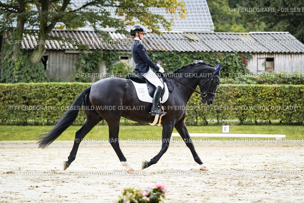 DSC06490 | Pferdegrafie