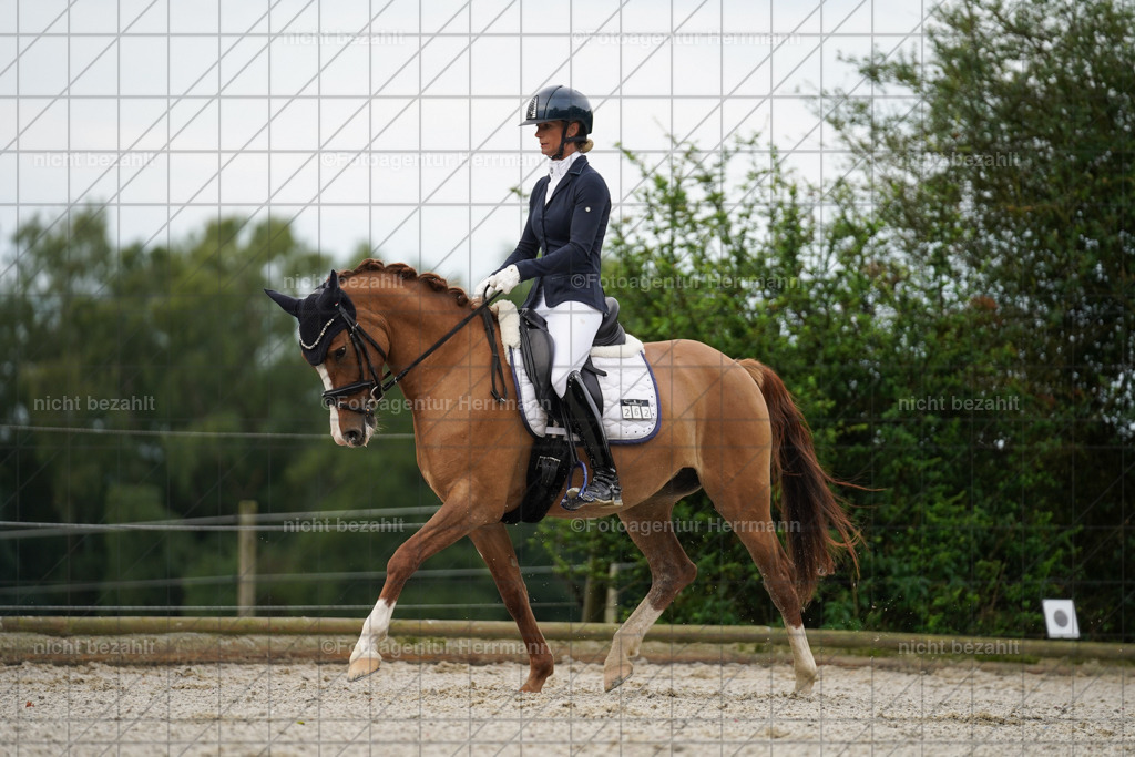 20230826-FAH04360 | Forstinning, 2023, Dressurturnier, Turniersportbilder, Turnierfotografen Bayern, Fotoagentur Herrmann, Reitsportfotografie, Turnierbilder