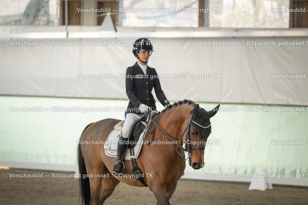 _D5A3868 | Emotionale Pferde- & People-Fotografie rund um Heidelberg, Leimen & Umgebung. Natürliche Fotos von Pferd, Mensch & Familie. Jetzt Termin sichern!