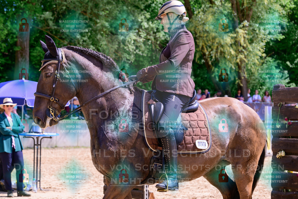 03052026-Giesenbach-05-Stiltrail-0479 | Fokus Hufschlag Fotografie - Realisiert mit Pictrs.com