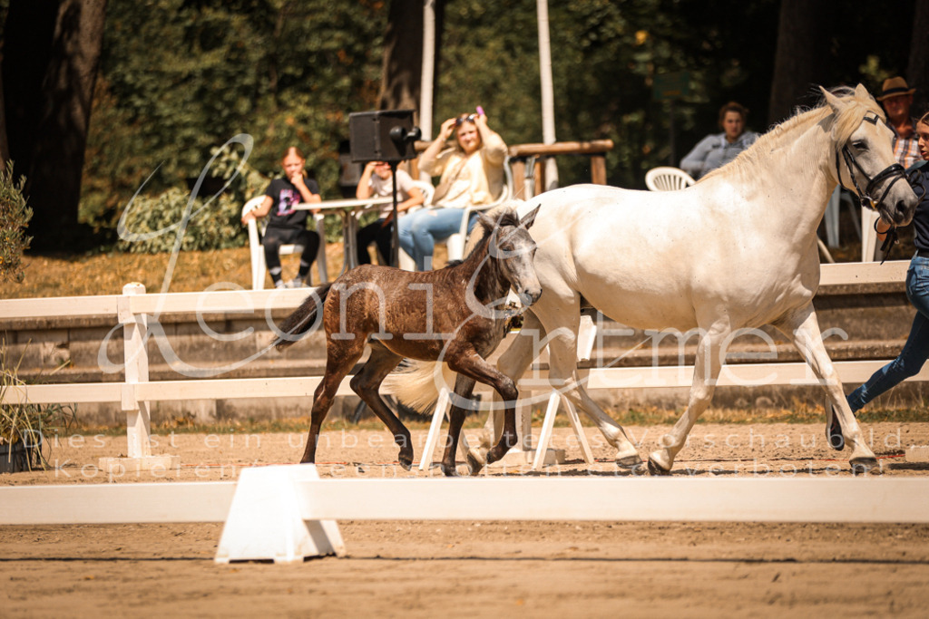 02.DoSR00176 | Leoni Ertmer Photography - Realisiert mit Pictrs.com