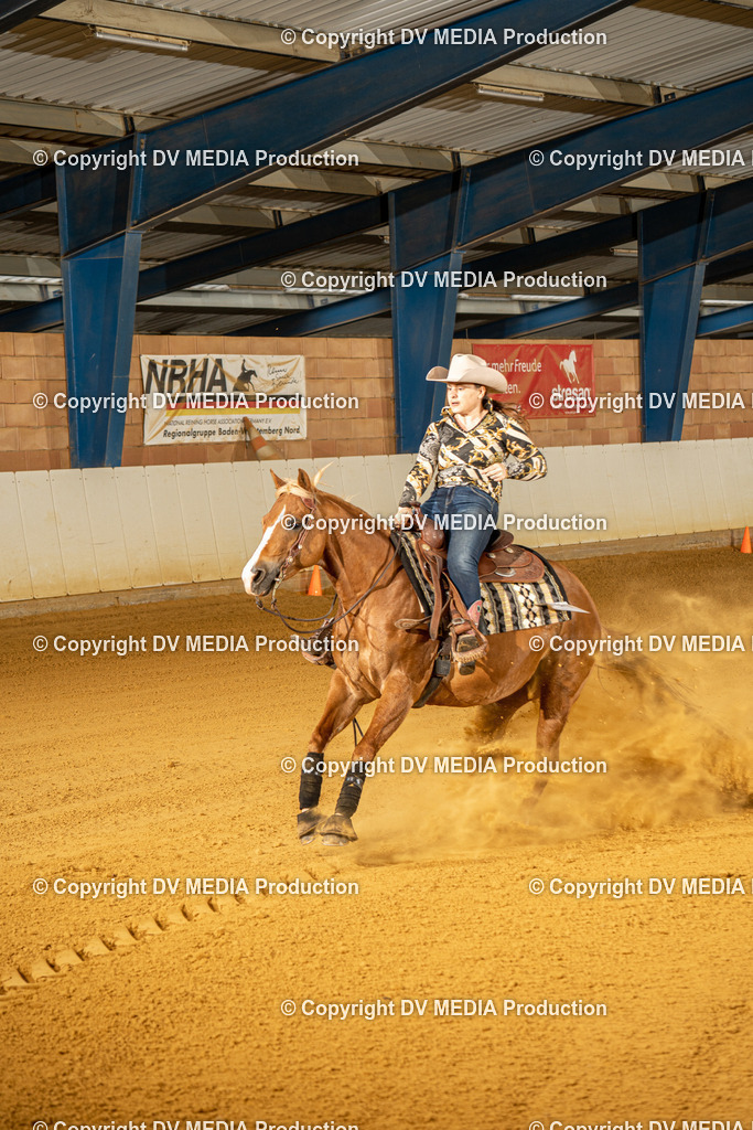 MIT00524 | dv-media-shop - Realisiert mit Pictrs.com