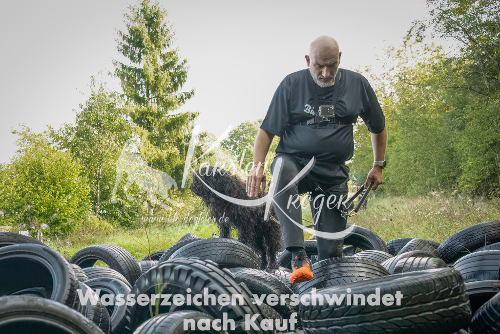1042_ZZ90173-Bearbeitet | kk-dogfotos
