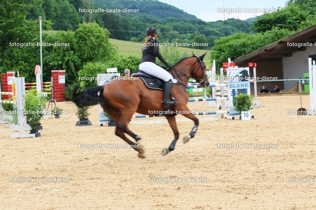 OHT0451 | Fotografie, Tiere, Hunde, Katzen, Pferde, Sportfotografie, Fotosession, Tierfotografie, Turnierfotografie, Fotografin, Fotograf - Realisiert mit Pictrs.com
