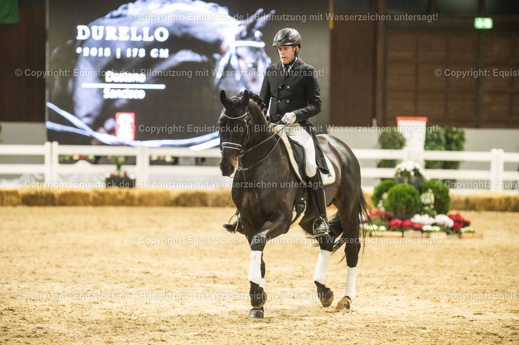 20240302_Hengstvorstellung_Marbach_TOMsPiC_1488 | equistock
