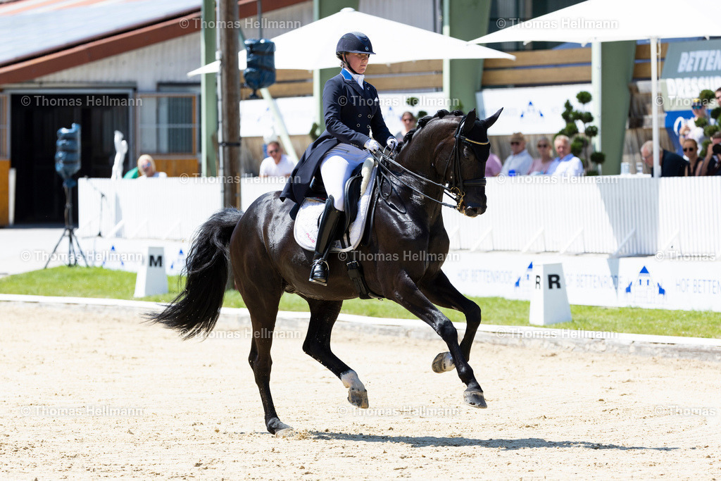 TH_117 Don Domingo 7 (FIN) Emma KANERVA_9612 | Bettenröder Dressurtage 2023 am 08.07.23 in Bettenrode, Thomas Hellmann, 117 Don Domingo 7 (FIN) Emma KANERVA