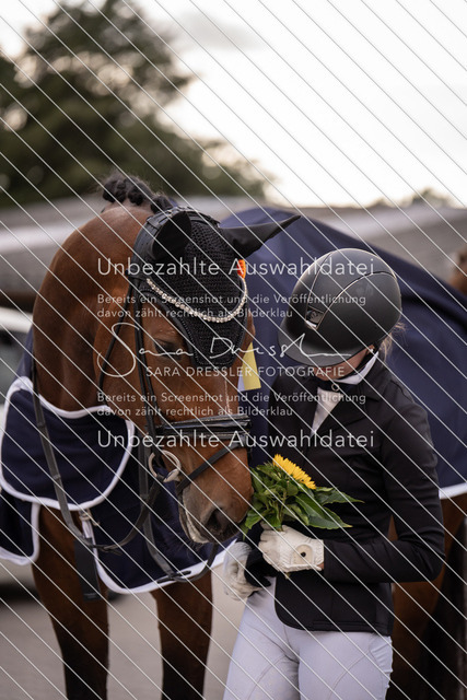 SD_OED_09293 | saradresslerfotografie - Realisiert mit Pictrs.com