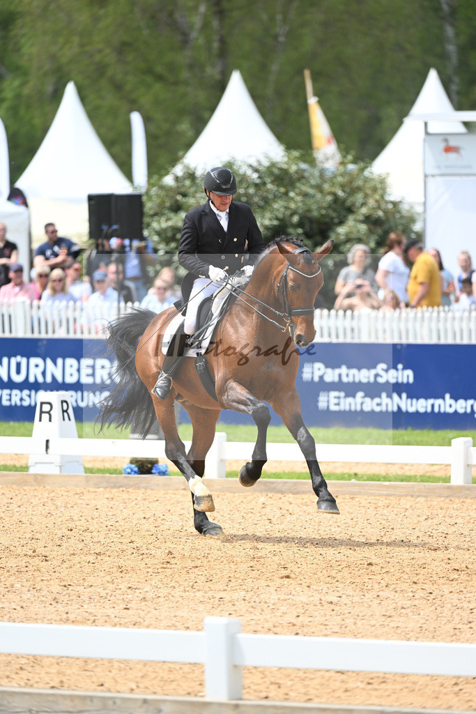 Eichhorn_Valentino_11233802 | hf-fotografie - Realisiert mit Pictrs.com