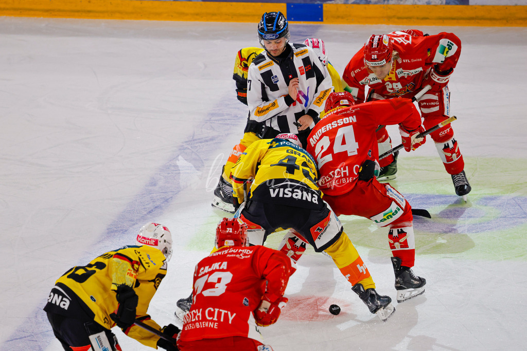 EHCB vs SCB 20260110_wb-3052 | Sportbilder, Sportfotograf, Hochzeits- und Eventfotografin, Flugshows, Portraits und Tiershooting, Aviation, Downhill, Nationalleague, Swissleague, International