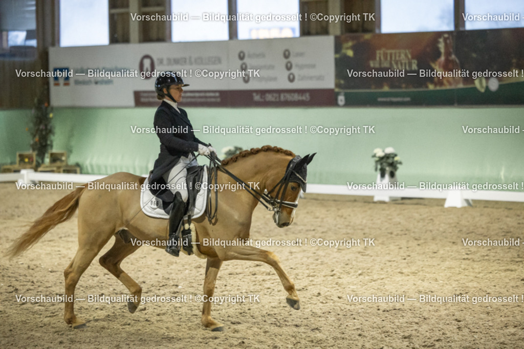 _D5A7237 | Emotionale Pferde- & People-Fotografie rund um Heidelberg, Leimen & Umgebung. Natürliche Fotos von Pferd, Mensch & Familie. Jetzt Termin sichern!