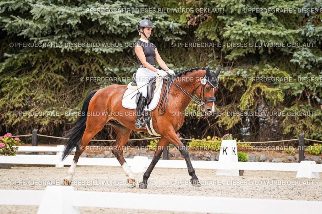 DSC06016 | Pferdegrafie