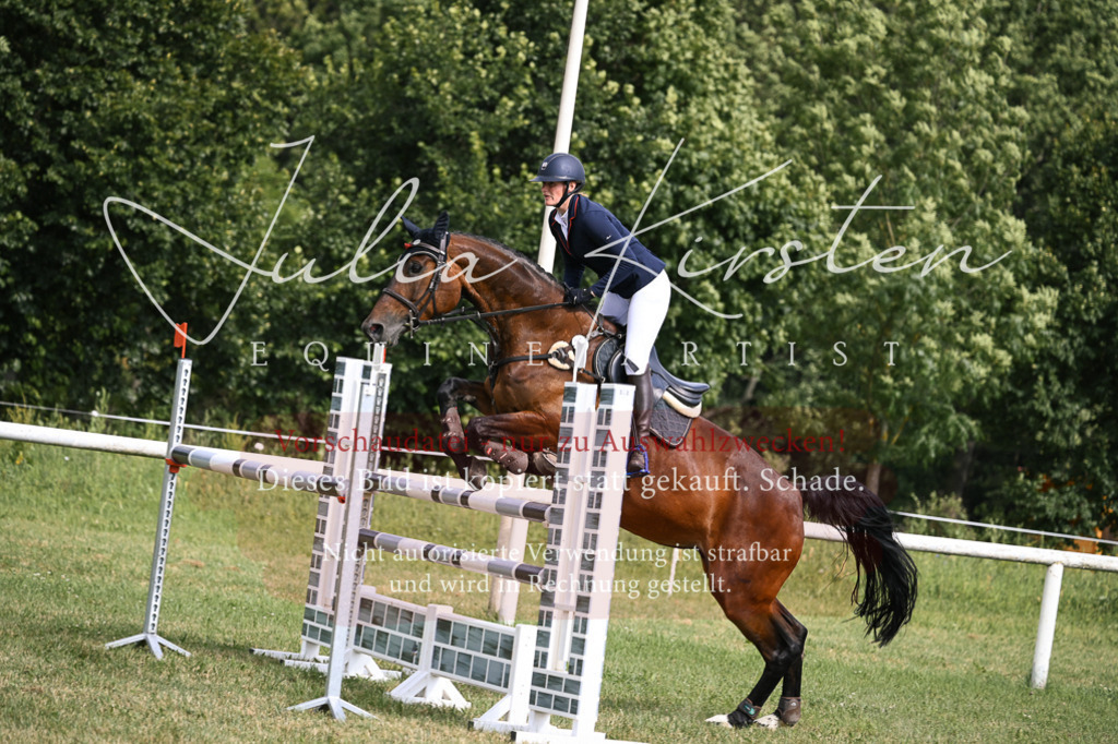 DSC_0796 | Pferde- und Turnierfotografie in Westsachsen. Pferdeportraits, Auftragszeichnungen und intuitive Kunst.