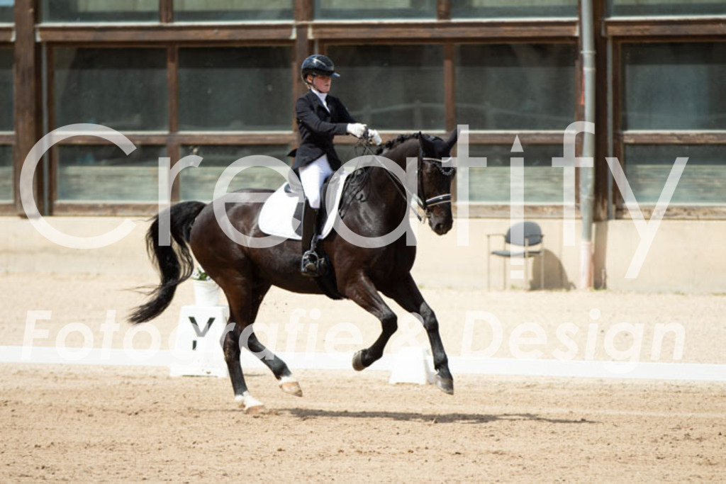 IMG_5901 | Creatify Fotografie