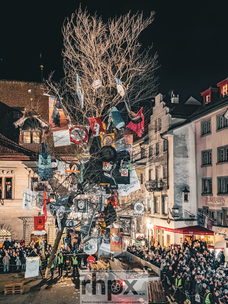 Guuggerbaum 2026 | Stimmungsvolle Fotokunst aus Luzern. Erlebe den Pilatus, den See und die Stadt Luzern in exklusiven Aufnahmen in der Fotogalerie & Shop. - Realisiert mit Pictrs.com