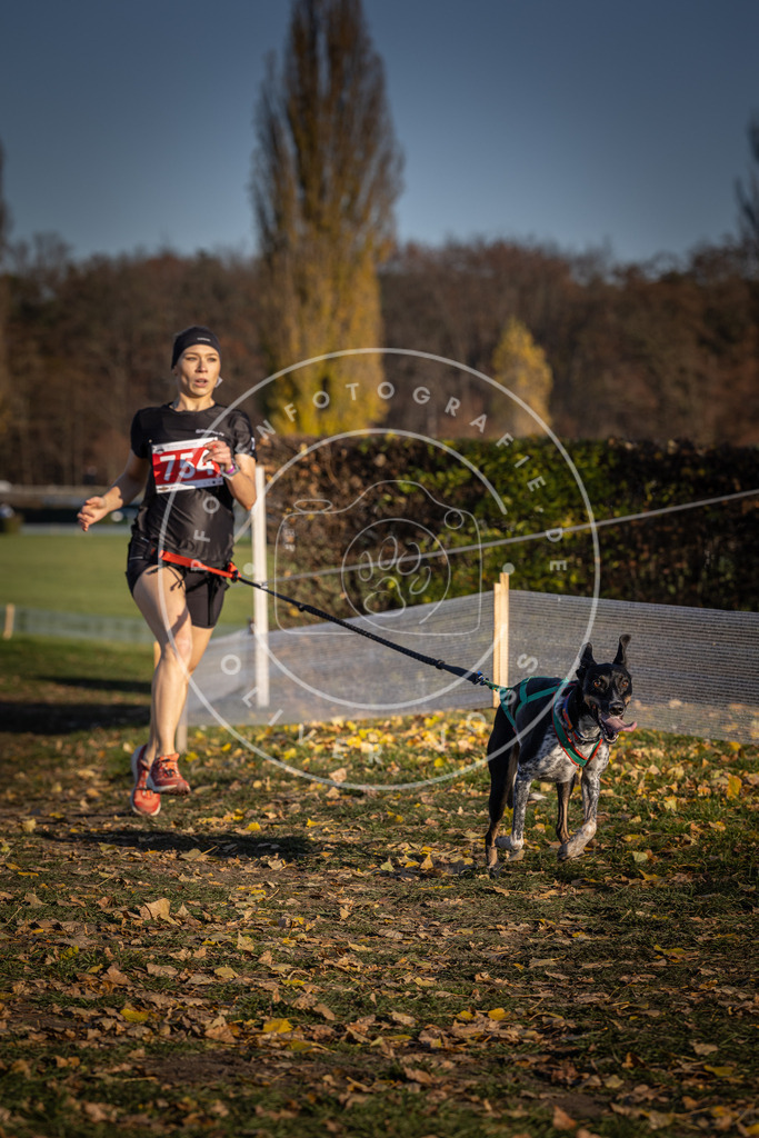 CaniXpix_DV3A2527 | Hundefotografie, Tierfotograf, Pfotenfotografie, Fotoshooting Hund, Hunde Portrait, Hundesport, Hundeportraits, Heideshooting, Hunde, Sportfotograf, Hundefotograf, Turnierhundsport, THS,  - Realisiert mit Pictrs.com