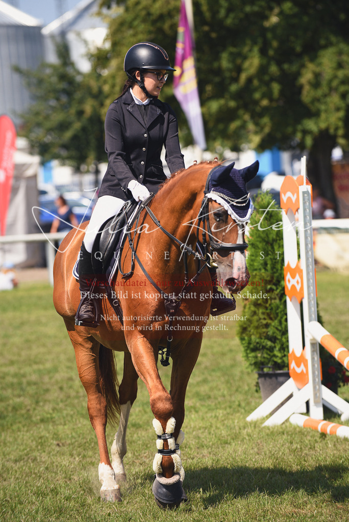 DSC_0030 | Pferde- und Turnierfotografie in Westsachsen. Pferdeportraits, Auftragszeichnungen und intuitive Kunst.