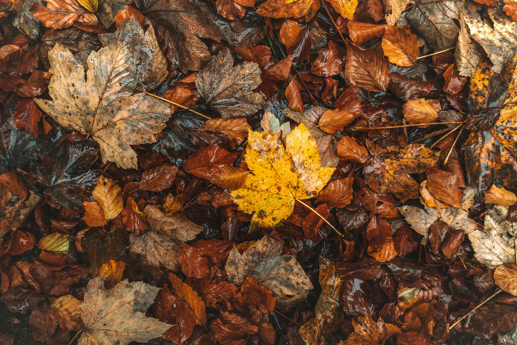 DSCF9870-Bearbeitet | Entdecken Sie hochwertige Fotoprodukte für Ihr Zuhause, Büro oder als besonderes Geschenk.rpixel.de bietet Ihnen exklusive Fotografien aus den Bereichen Natur, Landschaft und Motiven vom Meer.Einfach direkt im Online-Shop bestellen. - Realisiert mit Pictrs.com