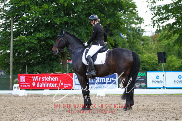 DKP41152 | Turnierfotos kaufen im Webshop von Daniel Kuhl Photography – entdecke professionelle Reitsportfotos aus Turnieren & Events. Hochwertige Turnierbilder online bestellen & sichern. Jetzt Fotos von Reitsportturnieren kaufen!