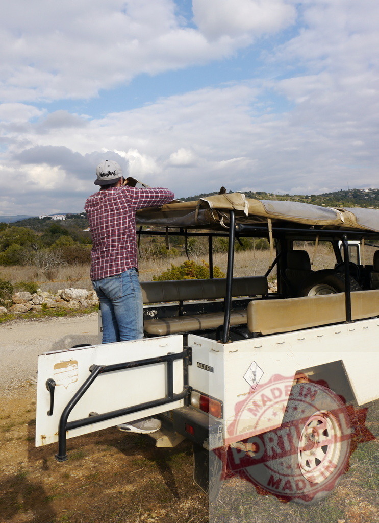 Man photographing landscape from safari vehicle on off-road adventure | Man standing in an open-top 4x4 vehicle taking pictures of the natural landscape - Realisiert mit Pictrs.com