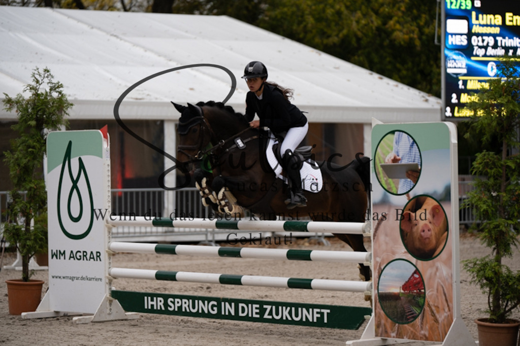 A7V09957 | Pferdefotograf