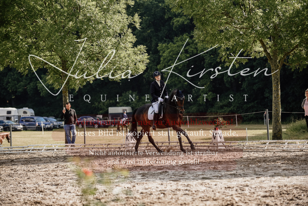 DSC_8772 | Pferde- und Turnierfotografie in Westsachsen. Pferdeportraits, Auftragszeichnungen und intuitive Kunst.