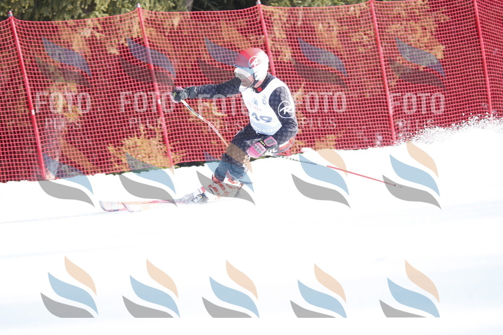 D7175 | holidayphoto