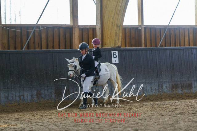 IMG_1284 | Turniersportfotografie; Pferdefotografie; Dressurfotografie