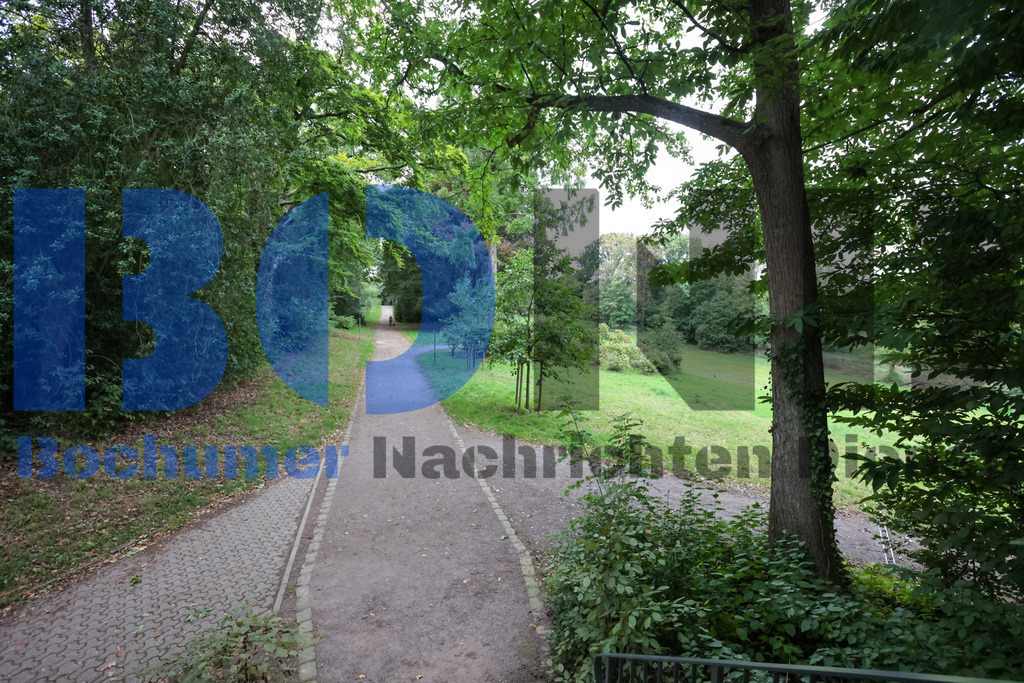 SES_RUHIGA20250918-43 | bond - Realisiert mit Pictrs.com