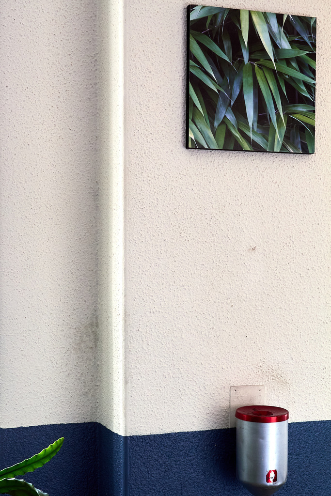 Das alte Atelierhaus 10 | Ich erzähle Geschichten als Autor und als Fotograf. Hier finden Sie hochwertige Naturfotografie, Reisefotografien und Bilder aus dem urbanen Lebensraum.  - Realisiert mit Pictrs.com