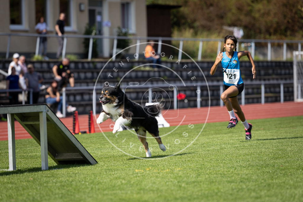 Pfotenfotografie_DV3A8488 | Hundefotografie, Tierfotograf, Pfotenfotografie, Fotoshooting Hund, Hunde Portrait, Hundesport, Hundeportraits, Heideshooting, Hunde, Sportfotograf, Hundefotograf, Turnierhundsport, THS,  - Realisiert mit Pictrs.com