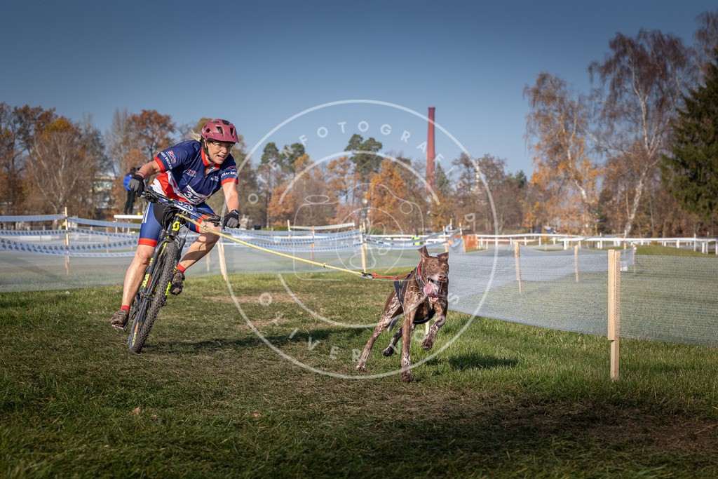 CaniXpix_0L8A7102 | Hundefotografie, Tierfotograf, Pfotenfotografie, Fotoshooting Hund, Hunde Portrait, Hundesport, Hundeportraits, Heideshooting, Hunde, Sportfotograf, Hundefotograf, Turnierhundsport, THS,  - Realisiert mit Pictrs.com