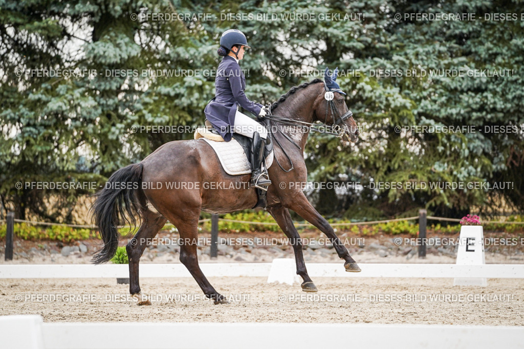 DSC07717 | Pferdegrafie