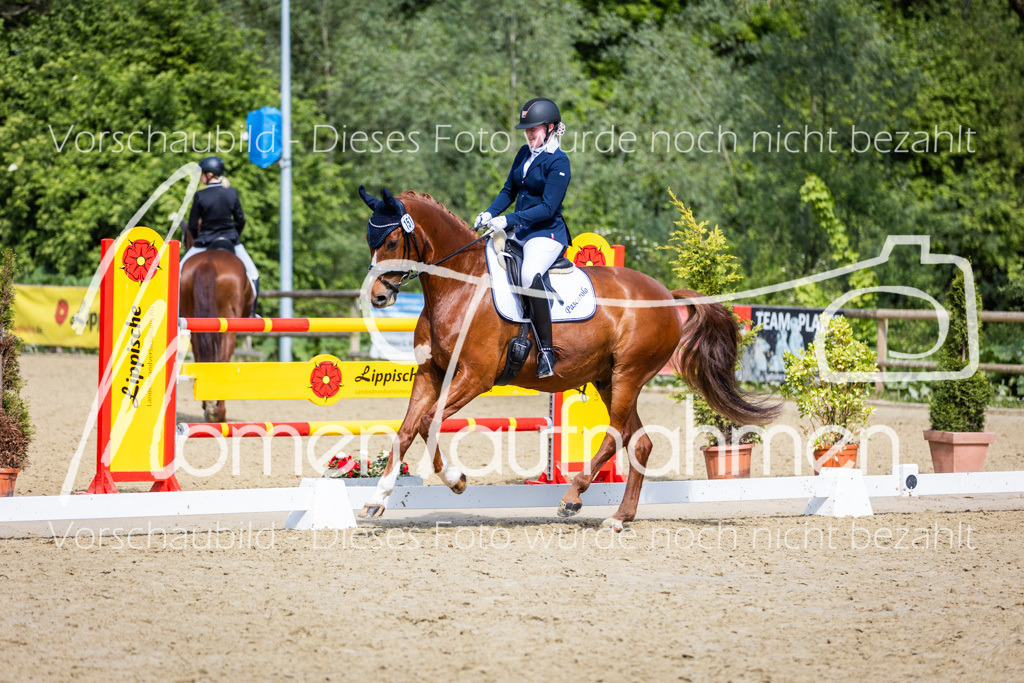 Donop24-L-Dre-005 | MomenTaufnahmen Pferdesportfotos