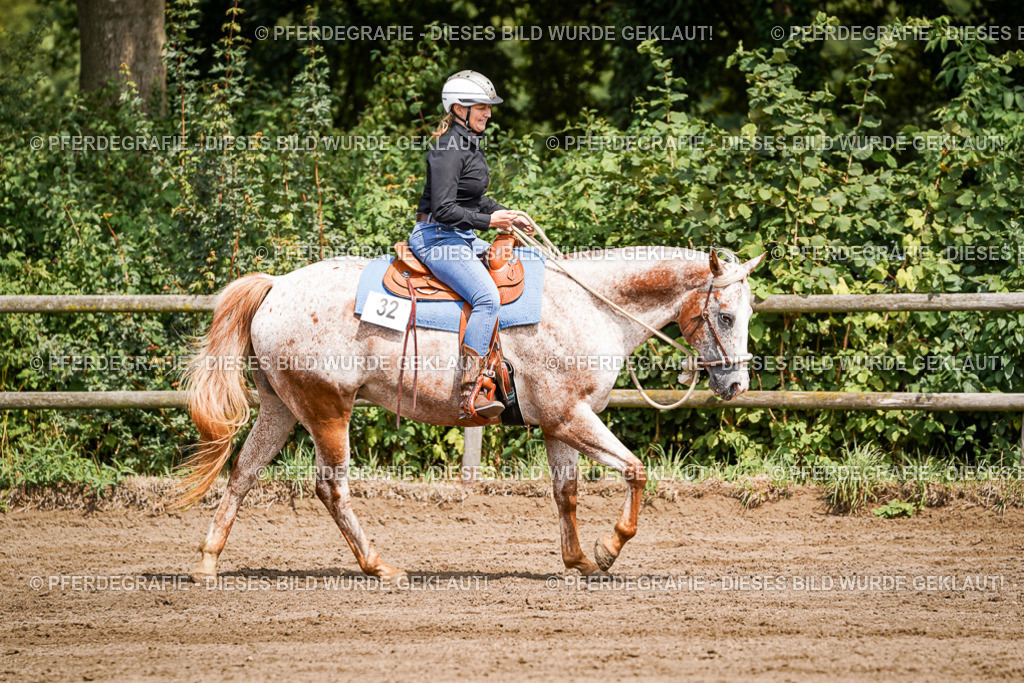 DSC07310 | Pferdegrafie