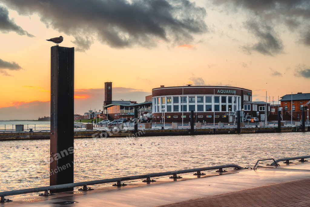 075 Wilhelmshaven Nassauhaven und umzu - 20-01-2022 -R Ganske.jpg | Rainer Ganske Fotografie, www.RainerGanskeFotografie.de, www.RainerGanskeShop.de - Realisiert mit Pictrs.com