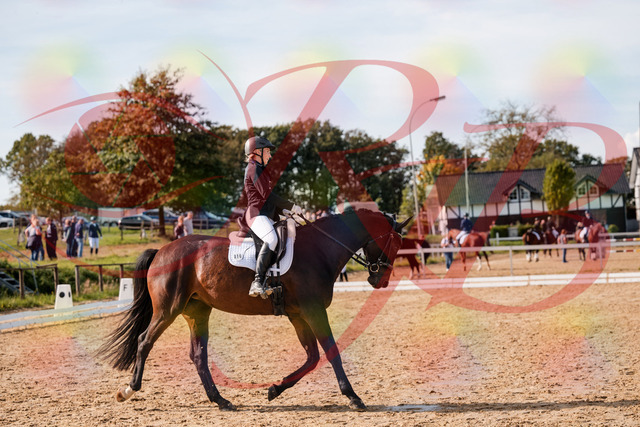 2026_10_03_Siefer-Hof_133648_Z63_98164000 | Professionelle Reitsport-, Turnier- und Eventfotografie von Robert Broda. Galerien mit ausgewählten und bearbeiteten Bildern direkt online ansehen und bestellen.