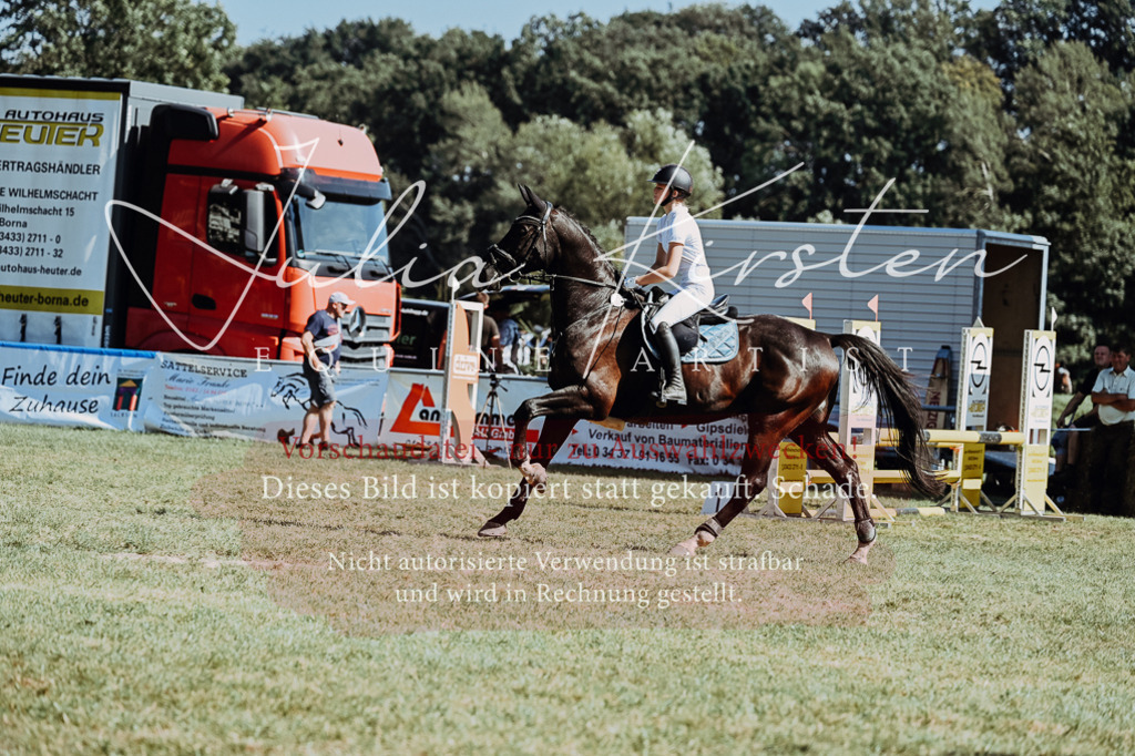 DSC_6672 | Pferde- und Turnierfotografie in Westsachsen. Pferdeportraits, Auftragszeichnungen und intuitive Kunst.