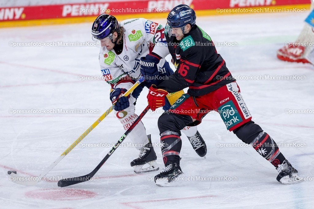 DEG12012501032 | 12.01.2025, Eishockey, Penny DEL, Düsseldorfer EG - Eisbären Berlin, PSD-BANK Dome: Manuel Wiederer (Eisbären Berlin #21) im Zweikampf gegen Kyle Cumiskey (DEG #16)