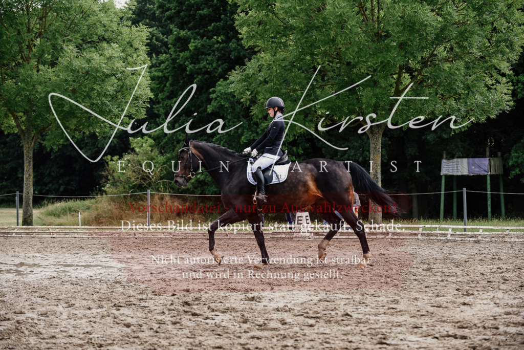DSC_0598 | Pferde- und Turnierfotografie in Westsachsen. Pferdeportraits, Auftragszeichnungen und intuitive Kunst.