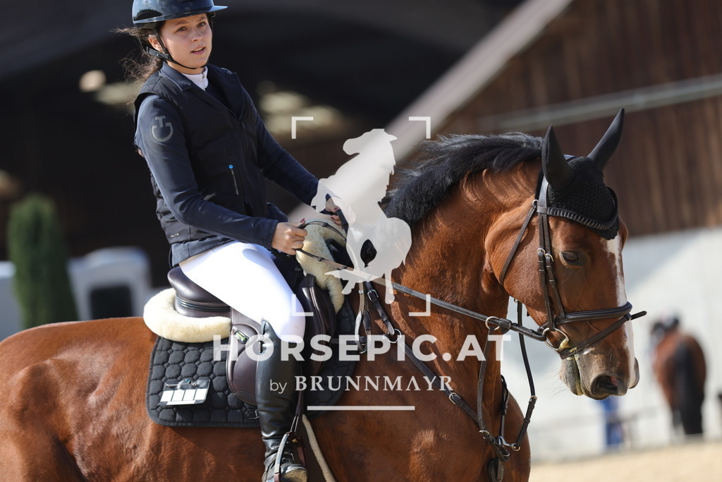 0P6A8303 | Willkommen bei Brunnmayr - Design & Fotografie – Ihrem Spezialisten für Reitturniere und Pferdeveranstaltungen in Oberösterreich, Salzburg und Bayern! Seit über 17 Jahren sind wir leidenschaftlich dabei.