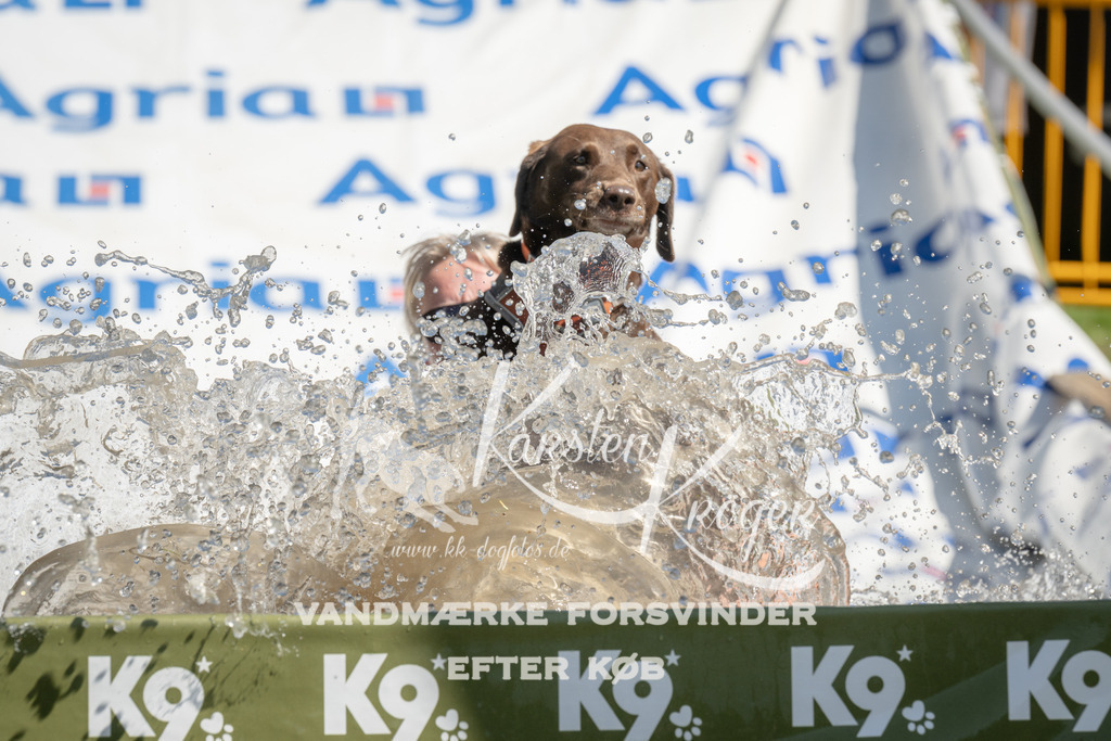 1221_ZZ96325 | kk-dogfotos