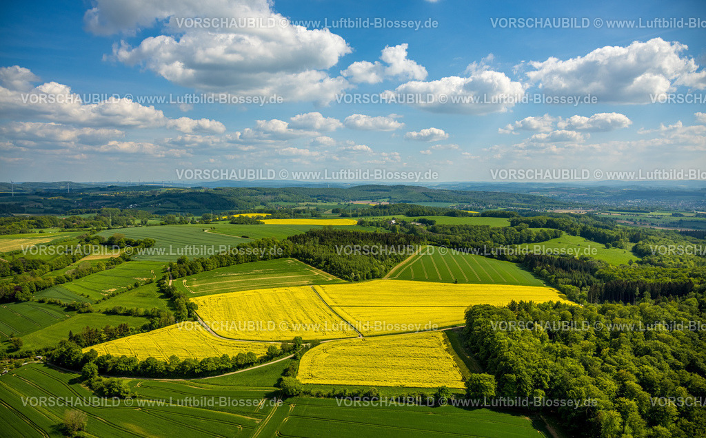 Kalletal240505419 | Luftbild, gelbes Rapsfeld, kachelförmige Wiesen und Felder, blauer Himmel und Wolken, Ortsteil Talle, Kalletal, Ostwestfalen, Nordrhein-Westfalen, Deutschland