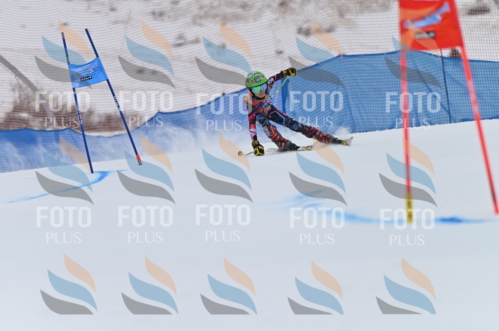 BGV_0332 | holidayphoto