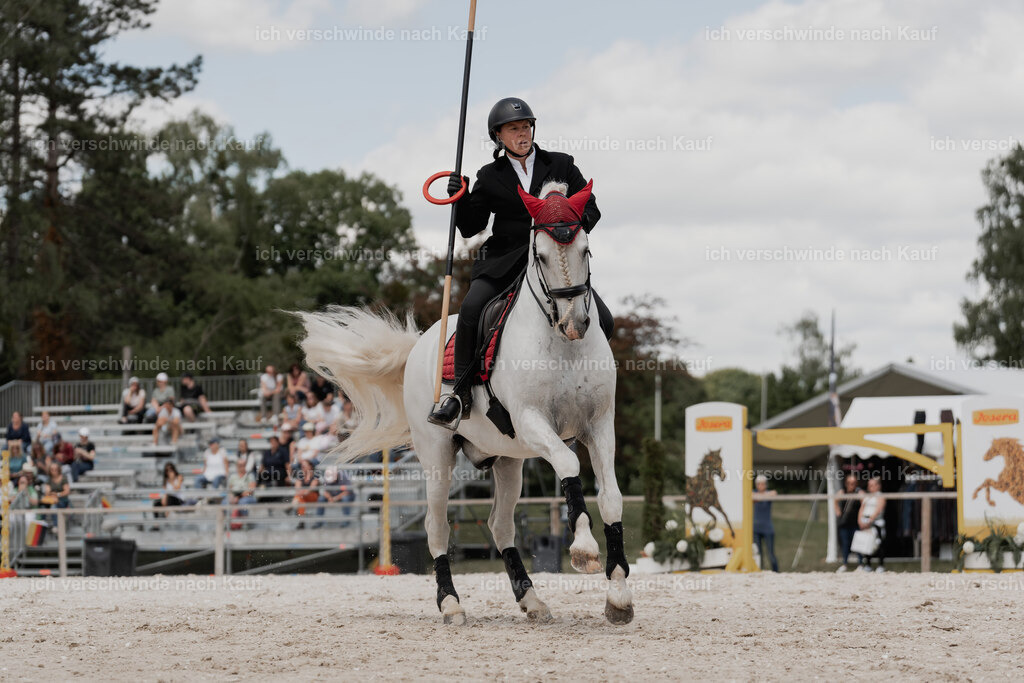 WE_ST_Stoib_307_PI2025_1168 | Pferd International München 2025